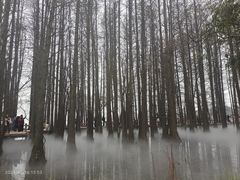 -东湖落雁景区