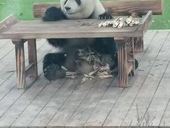 -无锡动物园·太湖欢乐园