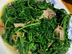 菜园子蚌肉-兴农记