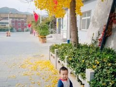 -赵家台民俗旅游村