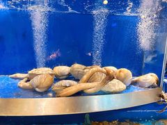 -奔海甄选·活鲜刺身铁板烧自助(太原里店)