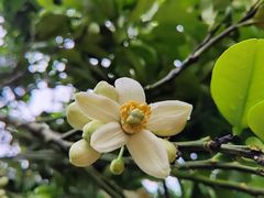 -两河城市森林公园