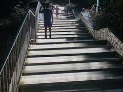 -白石龙音乐公园