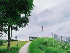 -燕晗山郊野公园