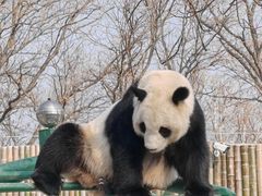 -天津市动物园