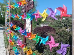 -北京西山国家森林公园