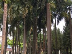 -广州雕塑公园