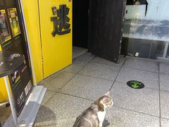 -谜盒子奇幻密室(南屏店)