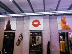 点击看大图 -SALON V