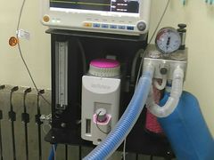 -天使宠物医院·犬猫分诊(彩虹店)