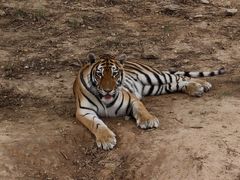 -石家庄市动物园