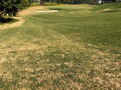 -南沙高尔夫球会