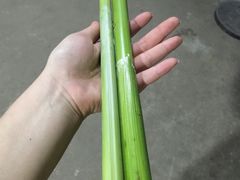 -小六农家乐(崇明西沙湿地店)