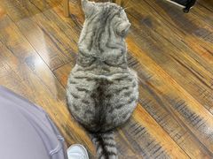 -如果·追梦手工皮具DIY教学店(田子坊店)