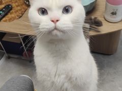 -萌兽医馆·绝育·24小时内科·宠物医院(德胜店)