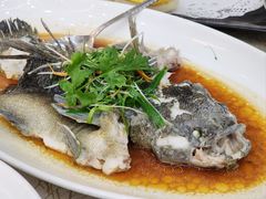 -轩记海鲜餐厅·四十五年老字号·经典粤菜(西区彩虹店)