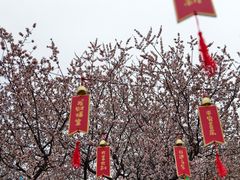 -北京西山国家森林公园