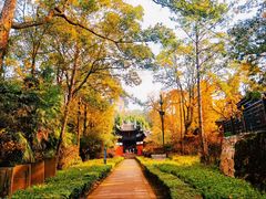 -窦圌山风景区