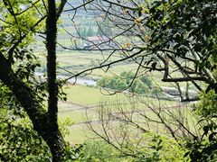 -上海佘山国家森林公园天马山园