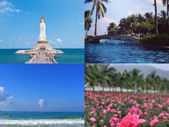 -亚龙湾热带天堂森林公园