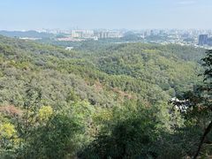 -滴水岩森林公园