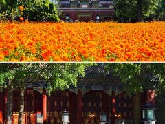 -北海公园
