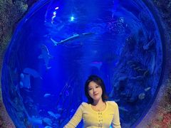 -沈阳海洋探索中心