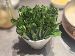 -顺德公·广东猪肚鸡(车公庙总店)