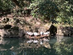 -兰亭风景区