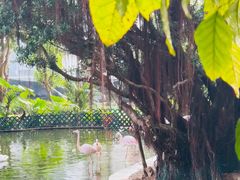 -九龙公园