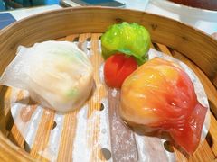 -点都德·毕德寮