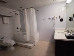 -上海浦东华美达大酒店