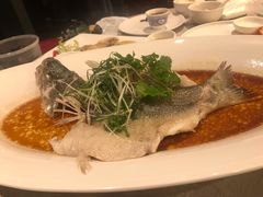 -汤臣·空中餐厅·严选粤菜(石湾世博广场店)