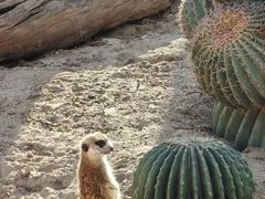 -泉州海丝野生动物世界