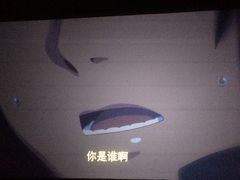 -武商摩尔影城(国广IMAX激光店)
