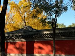 -北京国子监胡同