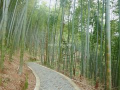 -梅岭月亮湾山体公园