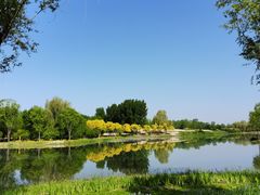 -东郊湿地公园
