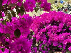 -梅州天地人花园酒店(梅县人民广场店)