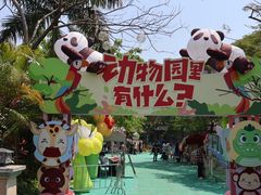 -灵玲国际马戏城