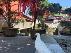-六祖寺