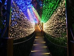 -大长山岛