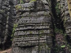 -梭布垭石林景区