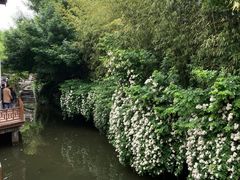 -趵突泉景区