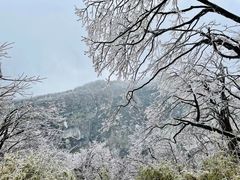 -峨眉山风景名胜区