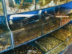 水产区-蟹谢蒸鲜自助餐厅