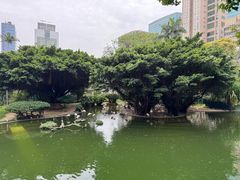 -九龙公园