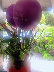 -Garden花園造型