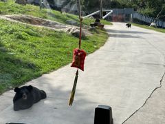 -西安秦岭野生动物园