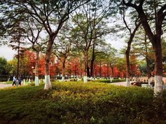 -映月湖公园